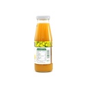 Néctar de mango 250 ml Campo Vivo