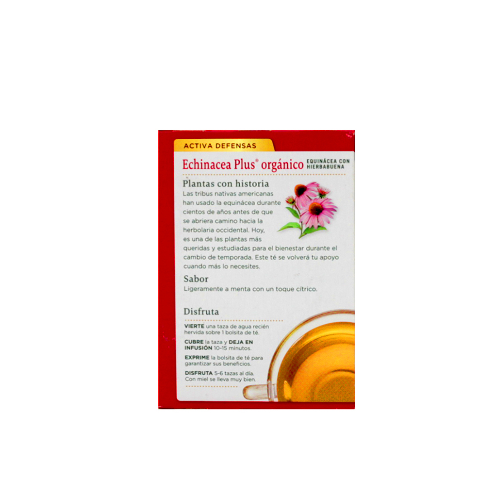 Té de echinacea plus y hierbabuena 24 g Traditional Medicinals