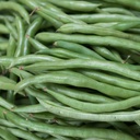 Ejote kg