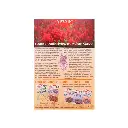 Cereal de amaranto sabor avellana 325 g Vivente