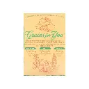 Cereal de granos sabor manzana canela 325 g Vivente