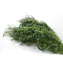 Eneldo manojo