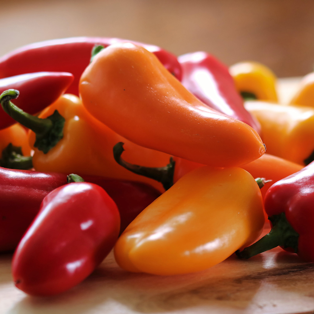 Mini pimiento kg