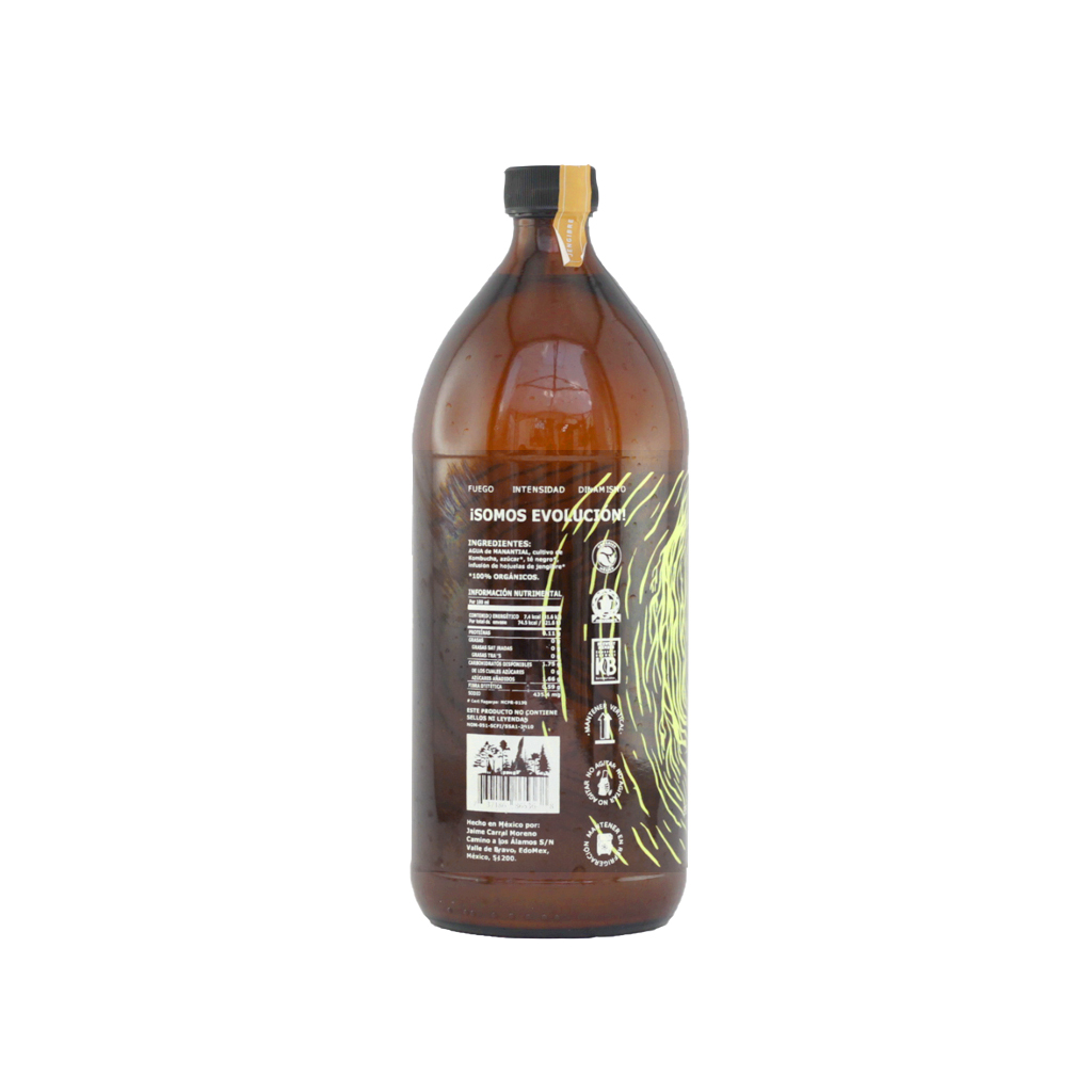 Bebida de té (Kombucha) jengibre 1 L La Semilla Colectivo