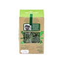 Ensalada baby arúgula 100 g Campo Vivo