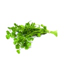 Cilantro manojo