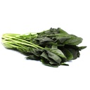 Espinaca manojo
