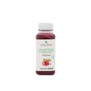 Jugo de raíces 250 ml Villa de Patos