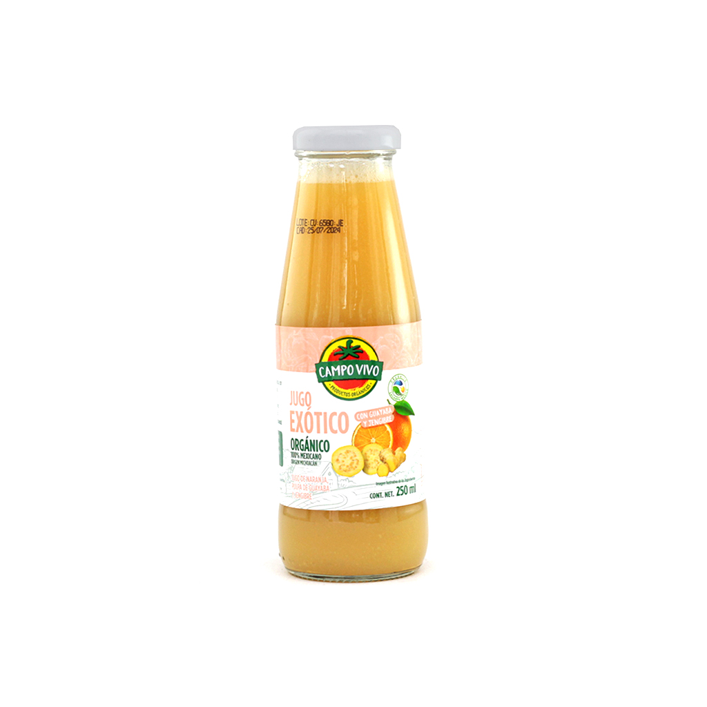 Néctar de guayaba 250 ml Campo Vivo