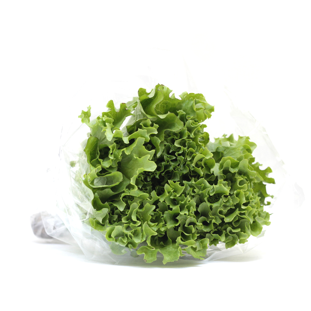 [00146] Lechuga Italiana pza