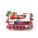 Fresa orgánica 454 g Luz de Sabor