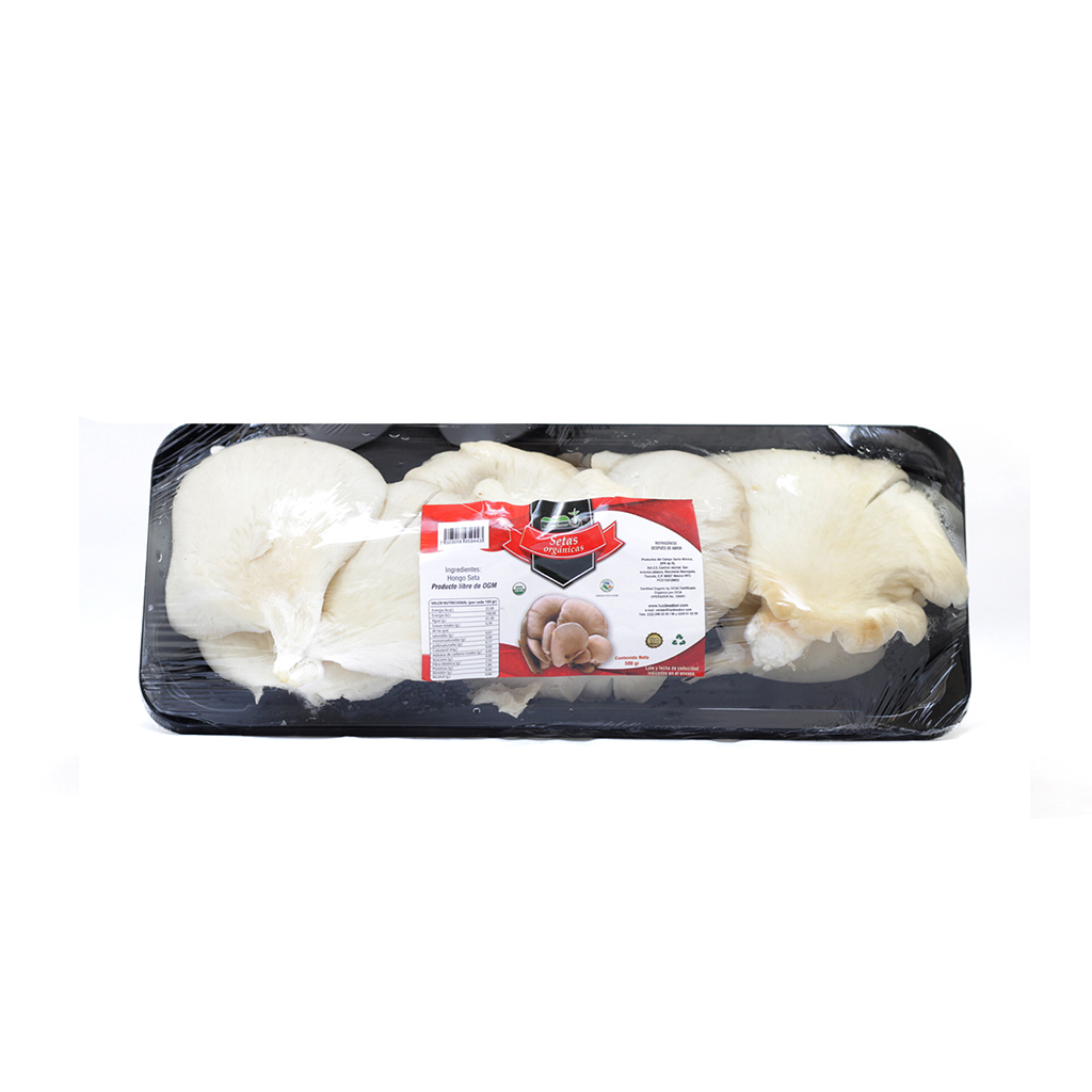 Hongo seta 500 g Luz de Sabor