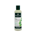 Shampoo reparador moringa 260 ml Archivado