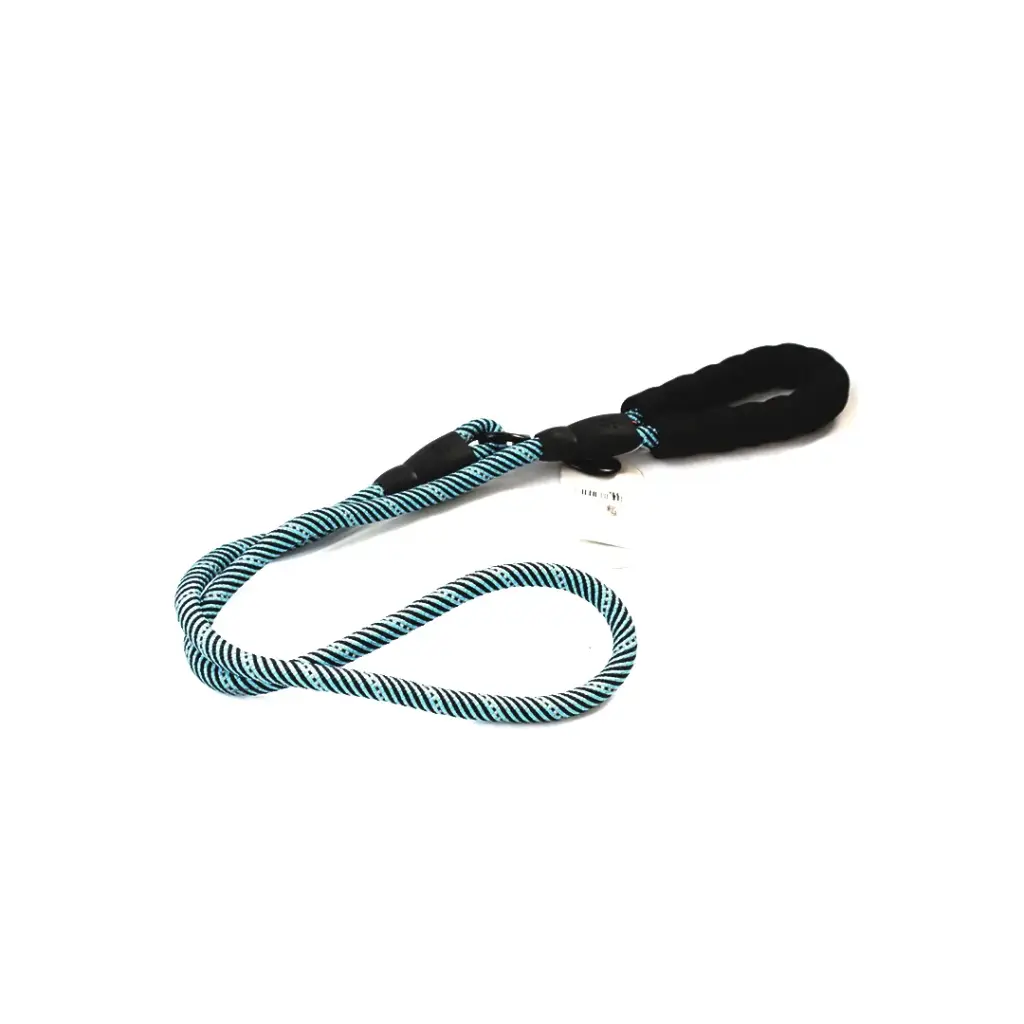 Correa negra para perro 1 pza Fancy Pets