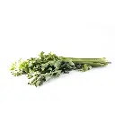 Agua clásica 10 L Zoé