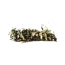Laurel mjo 100 g aprox.
