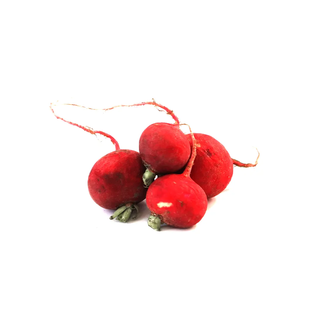 Rabano kg