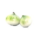 Cebolla blanca