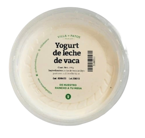 Yogurt de vaca 480 g Villa de Patos