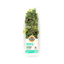 Menta orgánica 40 g Campo Vivo