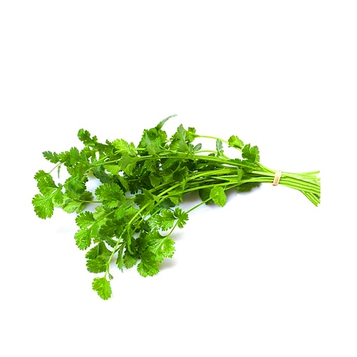 [00172] Cilantro manojo