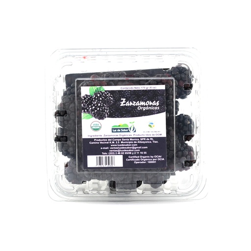 [7503018959696] Zarzamora orgánica 170 g Luz de Sabor