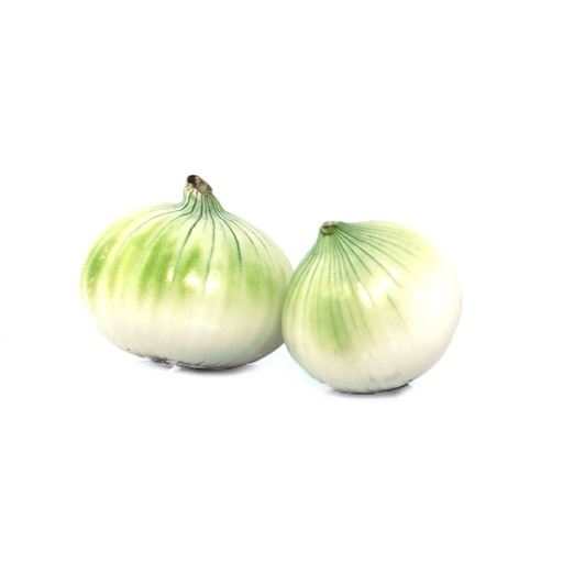 Cebolla blanca
