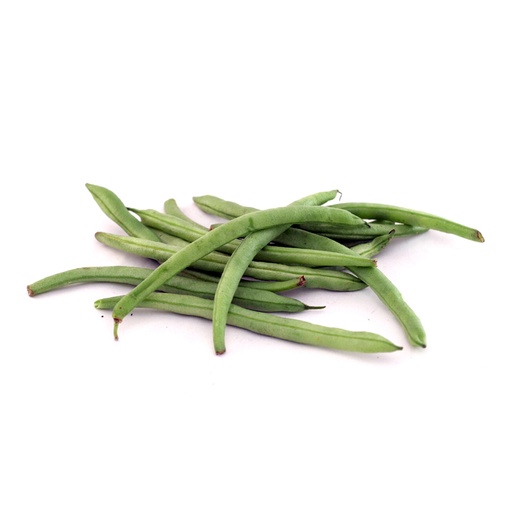 Ejote