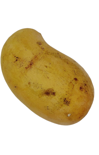Mango ataulfo