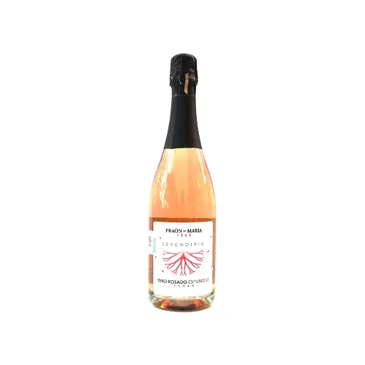 [00634] Vino rosado espumoso Syrah 750 ml Serendipia Praön de Maria